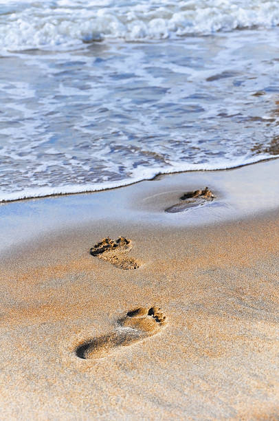 de pisadas en la arena en sunrise - sand footprint track following fotografías e imágenes de stock