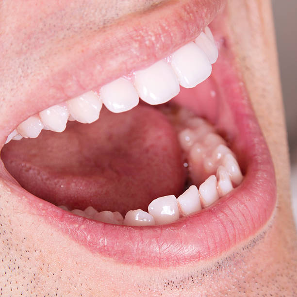 istock Macro shot of Teeth 153067909