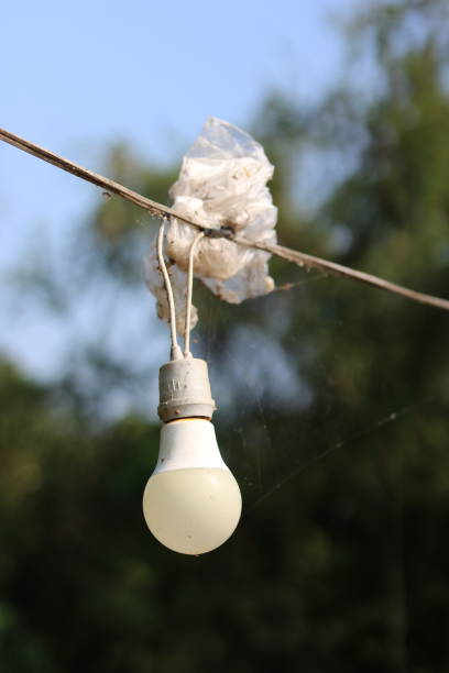 istock Bulb lamp hanging on a tree in the forest in the evening camping atmosphere. 1530685852