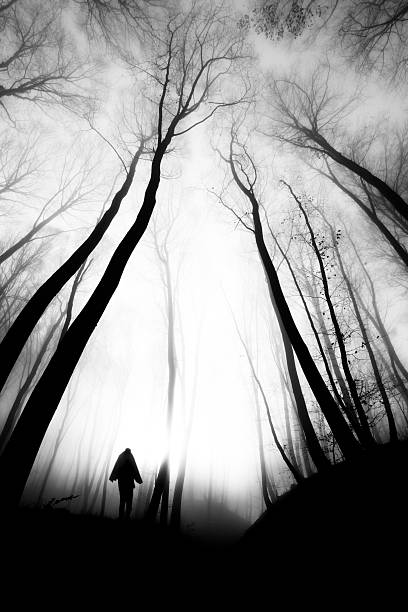 Came with the fog Spooky scene in the fogy forest with strange humanoid silhuette apparition. Black and white, grainy photo with very high contrast for the mood. slenderman fictional character stock pictures, royalty-free photos & images