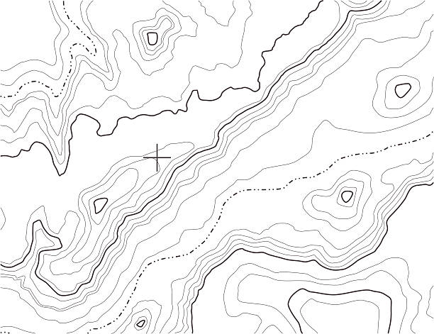 지형학 배경기술 [ 벡터 ] - topographic map 이미지 stock illustrations