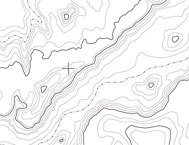Topography Background [vector] A topographic map pattern on white. topography illustrations stock illustrations
