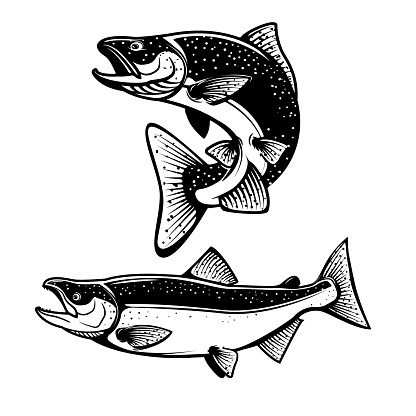 Salmon silhouettes. Fresh seafood. Salmon fishing.  Design element for label, emblem, sign. Vector illustration.
