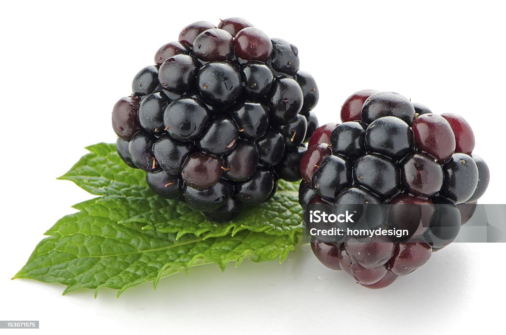 Close-up of two fresh and ripe blackberries Ripe fresh blackberry with leaves isolated on white background. Black Raspberry Stock Photo
