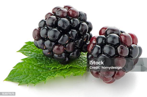 Closeup Of Two Fresh And Ripe Blackberries Stock Photo - Download Image Now - Black Raspberry, White Background, Berry Fruit