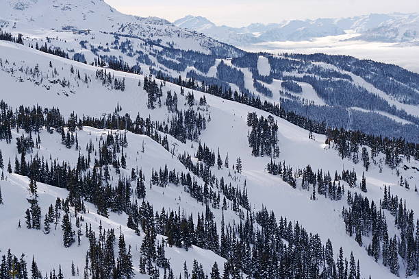 istock Ski slopes at Whistler 153072991