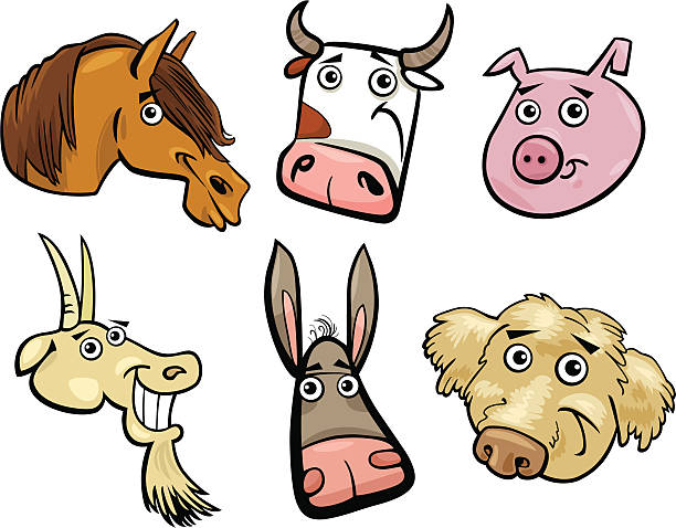 мультяшный сельскохозяйственных животных головки набор - goat shaggy animal mammal stock illustrations