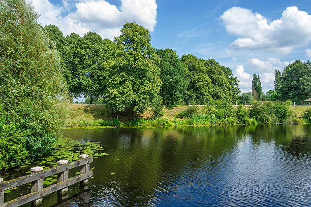 istock Dutch Summer Landscape with green trees and blue sky 153073892