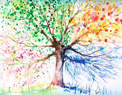 Hand painted illustration of four season tree.Picture I have created with watercolors.