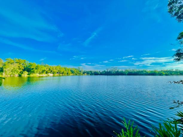 istock nature photography in thailand 1530749017