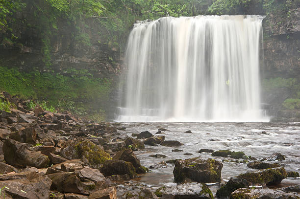 istock Beautiful woodland stream and waterfall in Summer 153074903