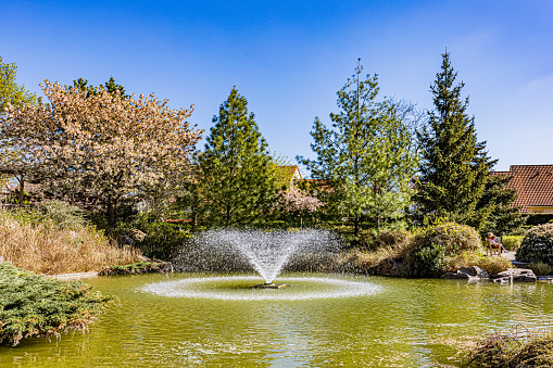 The Rose Garden is a public park and is located in the center of Bad Kissingen along the Franconian Saale. The Rose Garden was inaugurated in 1913, the same year as the Regentenbau. On June 26, 2016, the Rose Garden was reopened after seven months of general renovation with new extensive technology for the fountain.