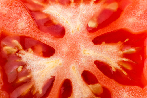 Tomato slice macro, natural background. Juicy red tomato slice closeup with flesh seeds and textures.