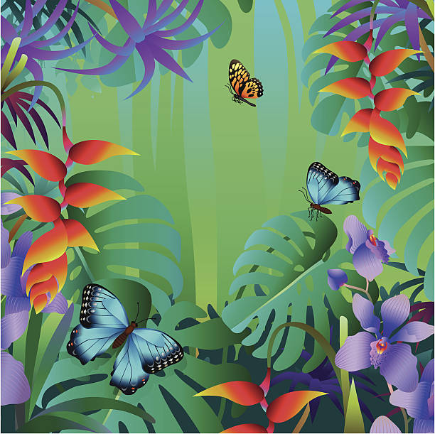 illustrazioni stock, clip art, cartoni animati e icone di tendenza di butterfies in una foresta pluviale tropicale - papilio zagreus