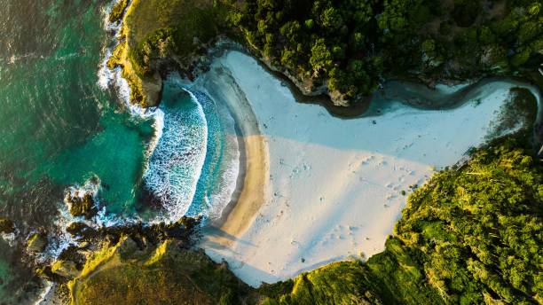 istock A secluded beach on the west coast 1530802863