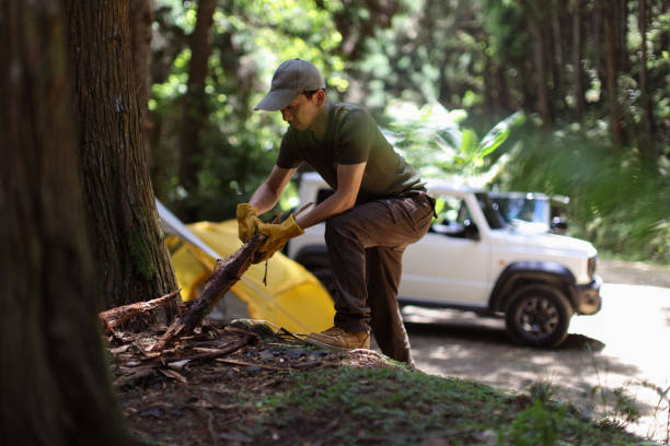 istock Pick up dead wood as campfire fuel when camping 1530805646
