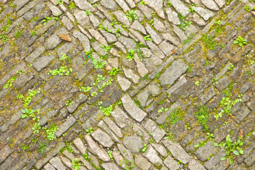 Vintage Cobble stones with grass and moss