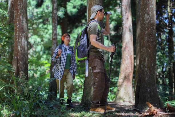 istock Friends camping and walking in the alpine forest together 1530806842