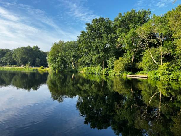 istock Scenic view of a tranquil lake surrounded by lush greenery trees 1530807567