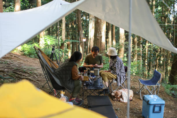 istock Cooking breakfast in the forest camping division 1530808465