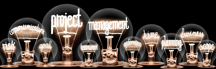 Large group of shining light bulbs with fibers in a shape of Project Management, Communication, Planning, Scope and Goal concept related words isolated on black background.