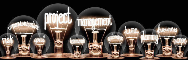 Light Bulbs with Project Management Concept Large group of shining light bulbs with fibers in a shape of Project Management, Communication, Planning, Scope and Goal concept related words isolated on black background. project management stock pictures, royalty-free photos & images