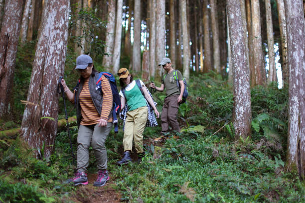 istock Friends camping and walking in the alpine forest together 1530809444