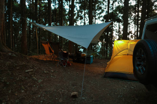 istock Early morning camping on alpine forest roads with a jeep 1530809715