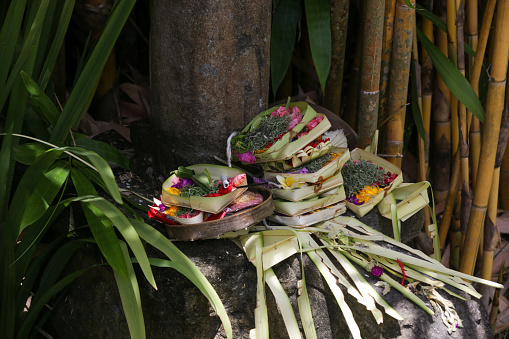 Canang sari, woven bamboo container with rice, flowers, incense, sweets and fruits. This is an offering to the Gods, as a gesture of gratitude in Bali, Indonesia.