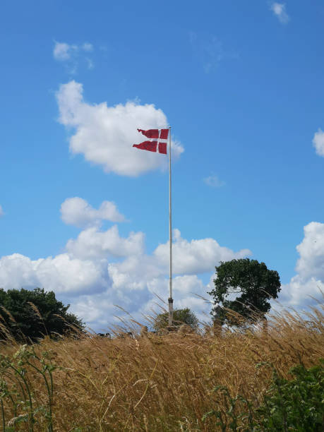 istock The Danish flag Dannebrog waves over beautiful meadows 1530817992