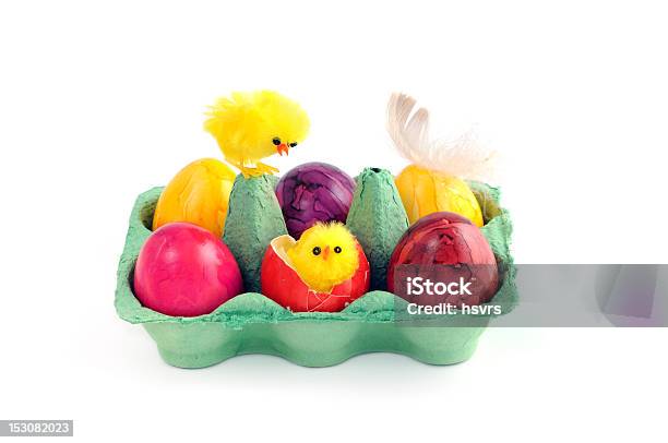 Ostern Eier Mit Junge Huhn Und Federn In Green Kartonverpackung Stockfoto und mehr Bilder von Eierkarton