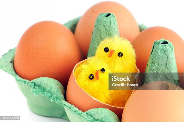 Beige Huevos Con Dos Jóvenes Verde Con Pollo En Una Caja De Cartón Foto de stock y más banco de imágenes de Alimento