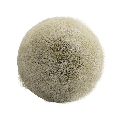 Off-white ball of fur isolated on white background