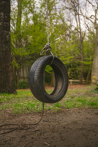 An aged tire suspended from a tree in a forest, tethered by a rope