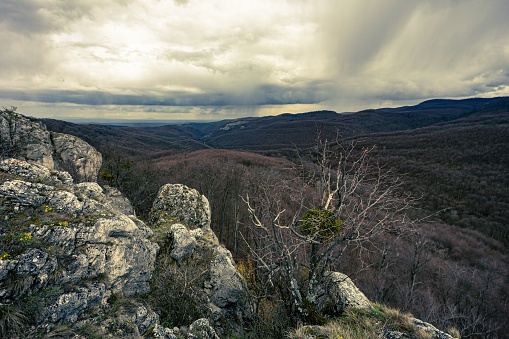 A landscape of rocky hills and trees dotted with shrub silhouetted against a cloudy sky.