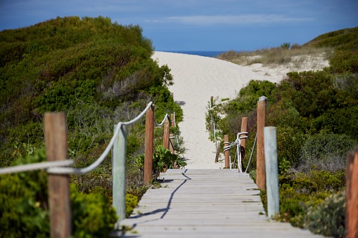 A wooden path surrounded by lush greenery. De Hoop Nature Reserve, South Africa.