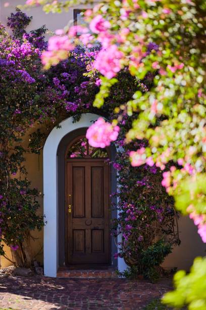 istock Wooden door with a white-painted frame surrounded by an array of pink flowers. 1530846417