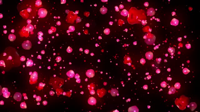 Red rose petals flying animation