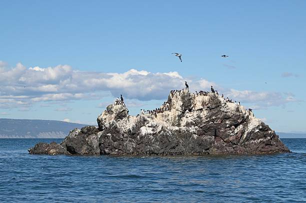 istock Gull Island on a sunny day 153085722
