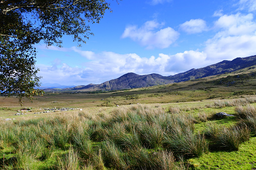 The Irish landscape with the Caha Mountains near Ardgroom, County Cork.