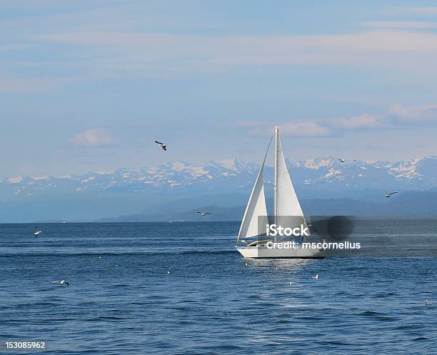 Barca A Vela Per La Baia - Fotografie stock e altre immagini di Acqua - Acqua, Alaska - Stato USA, Ambientazione esterna