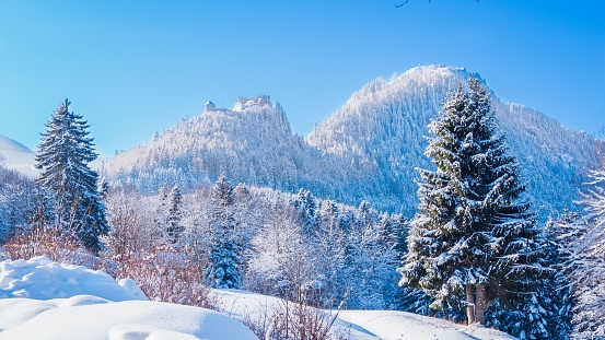 A scenic landscape of snow-covered trees and mountains in Reutte, Austria