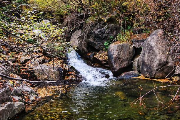 istock the river has been clear since it is calm and has a few rocks near by 1530882499