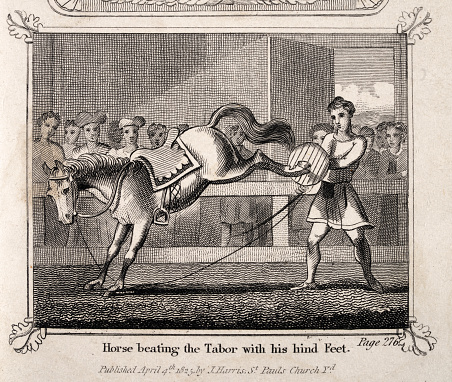 Vintage illustration of Animal trainer at fair or circus performing with a horse, playing the tabor drum