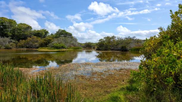 istock The lake, Santa Cruz 1530883639