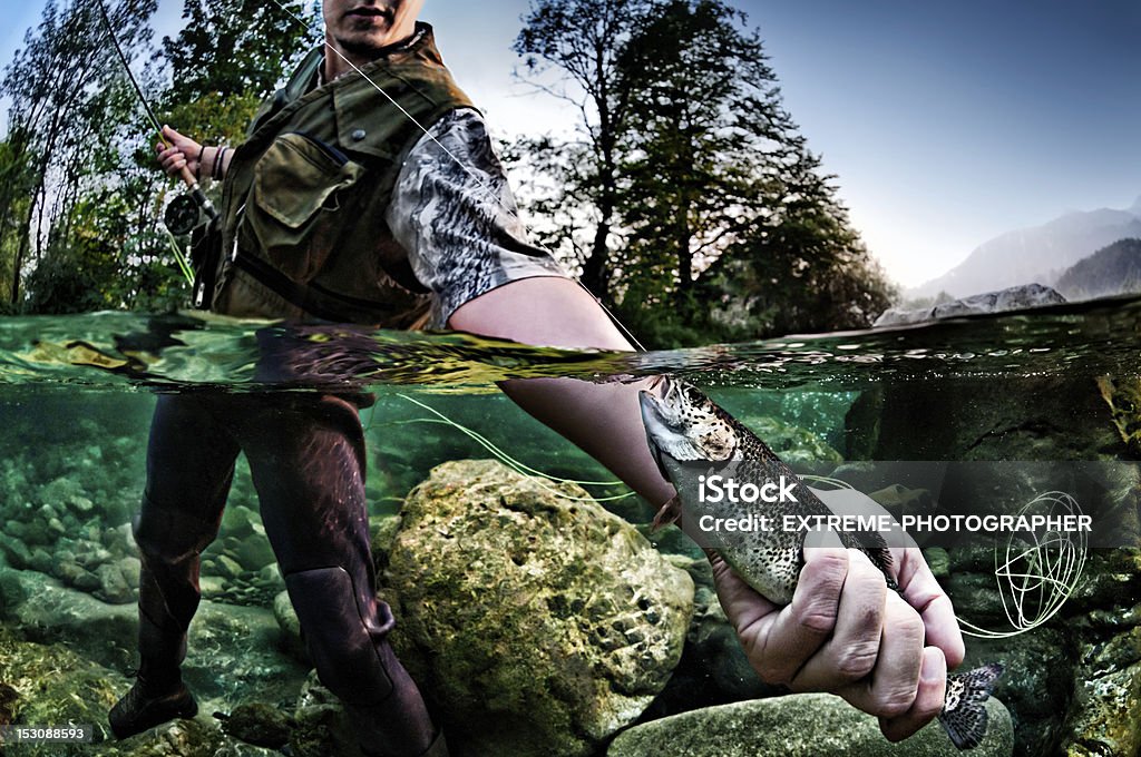 Holding a trout Fisherman holding a trout fish underwater. Half underwater shot. Catching Stock Photo