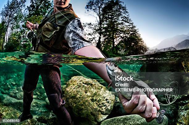 Holding A Trout Stock Photo - Download Image Now - Catching, Fly-fishing, Trout