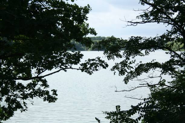 istock Scenic view of a lake seen through trees 1530889492