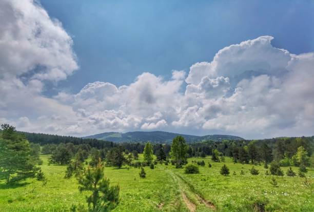 istock Expansive, lush green field dotted with trees, stretching out towards a majestic mountain range 1530893114