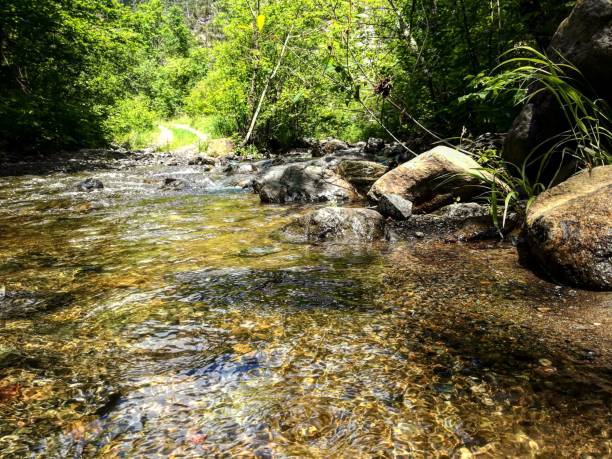 istock Tranquil mountain stream in a lush forest environment, featuring rocks slowly drifting downstream 1530893522